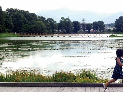 奈良／橿原神宮、深田池周辺