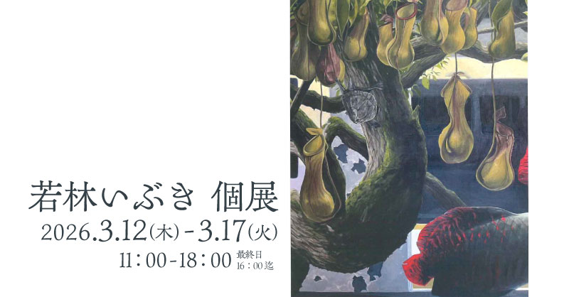 若林いぶき 個展