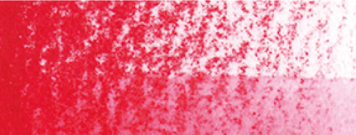 ROSE MADDER