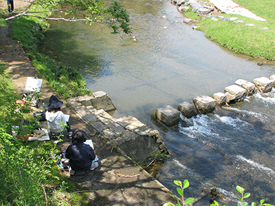 宝ヶ池周辺の風景