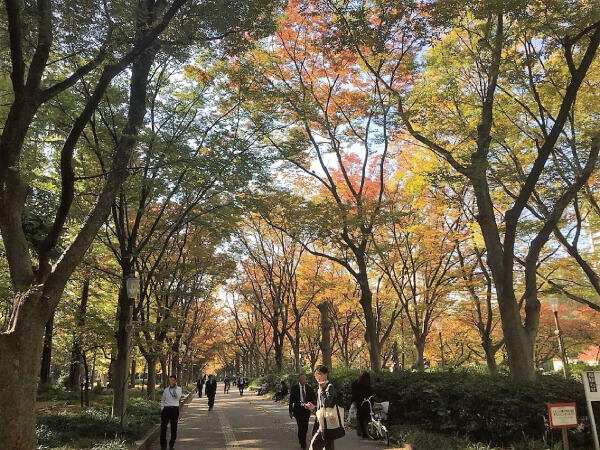 大阪/靭公園