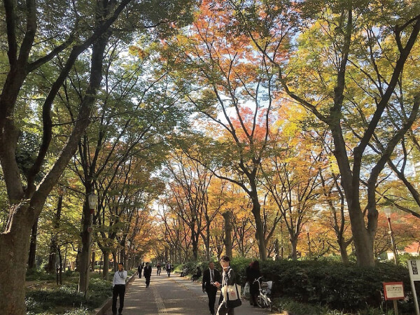 大阪／靭公園