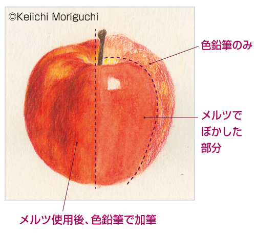 りんごの作例