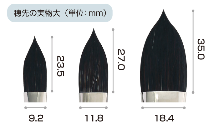 SQ-T キャッツタン